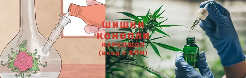 купить  цена  Бобров  Марихуана OG Kush 